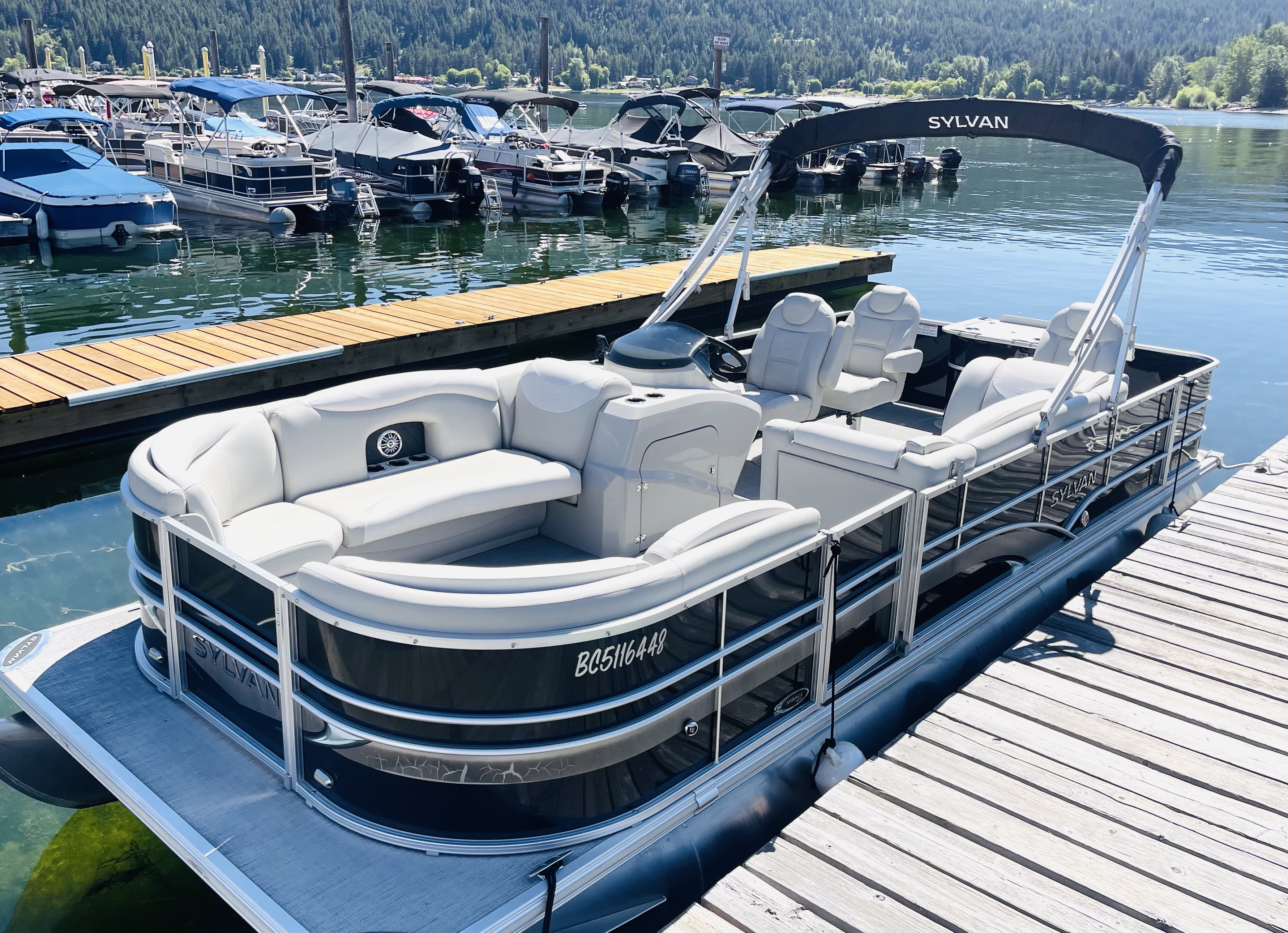 Boat Rental - Luxury Godfrey Aqua Patio Pontoon Boat